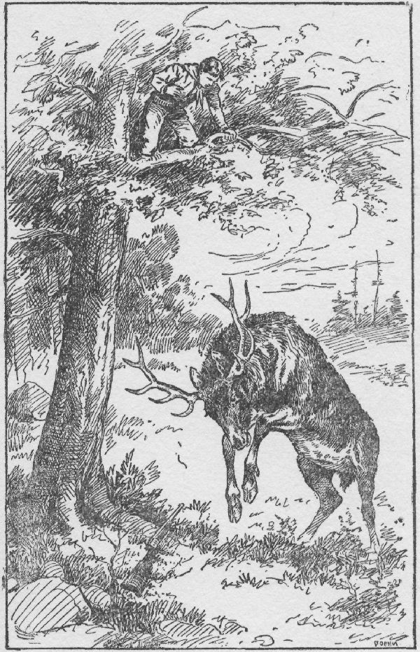 "DON'T YOU WISH YOU COULD?" HE SHOUTED DERISIVELY DOWN AT
THE ELK.—Page 98.

The Outdoor Chums After Big Game.