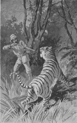 Captain Ringgold brought down
another--Page 349