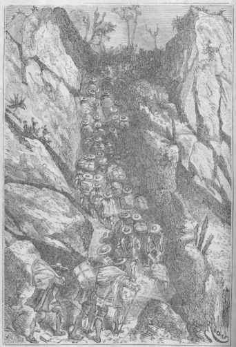 Oli kuin muurahaisia muurahaispes�ss�.