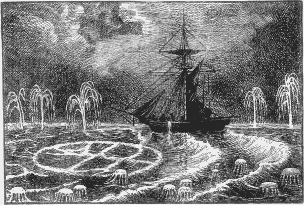 A PHOSPHORESCENT SEA.
