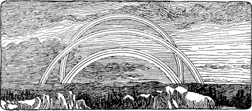 Optical appearance