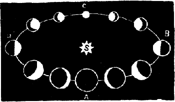 THE PHASES OF VENUS.