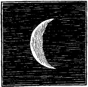 VENUS AT HER GREATEST BRILLIANCY.