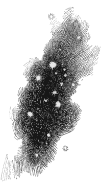 Stars
