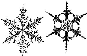 SNOW CRYSTALS.