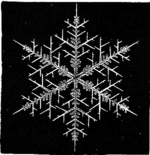 SNOW-STAR.
