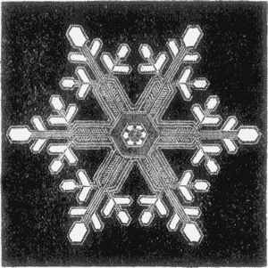 SNOW-STAR.