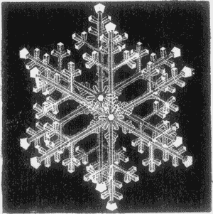 SNOW-STAR.