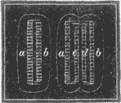 FIG. 8. A DIATOM