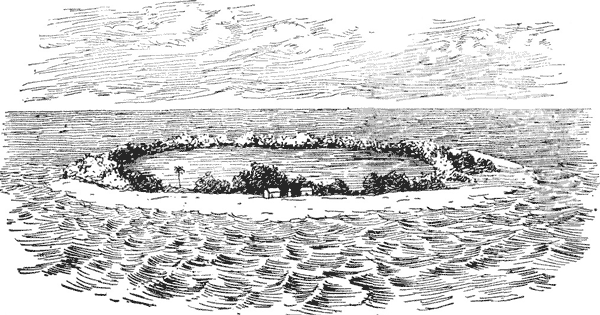CORAL ISLAND.