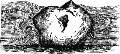 UNSTRATIFIED ROCK.—A VOLCANIC BLOCK.
