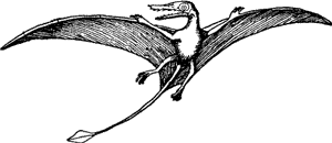 BIRD OF THE JURASSIC PERIOD.(The Oldest Bird.)