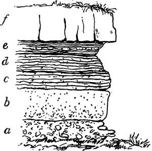 SECTION OF STRATIFIED ROCKS.