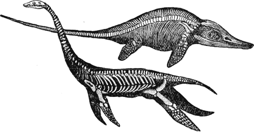 FIG. 8. ICHTHYOSAURUS AND PLESIOSAURUS.