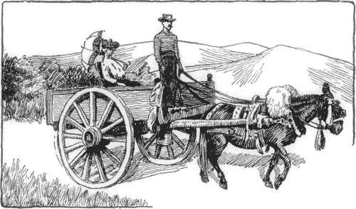 THE MULE-CART.