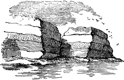 SEA CLIFFS SHOWING A SERIES OF STRATIFIED ROCKS.