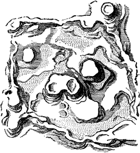 FIG. 5. CALCAREOUS CONCRETION IN AEOLIAN LIMESTONE, BERMUDAS.
