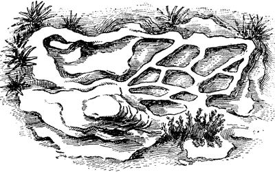 FIG. 6. CONCRETIONS IN AEOLIAN ROCKS,