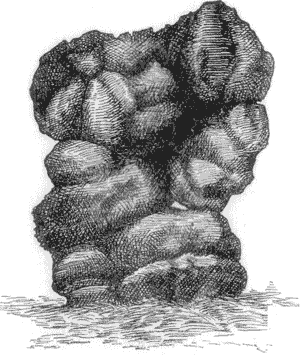 A WORM CASTING FROM SOUTH INDIA.