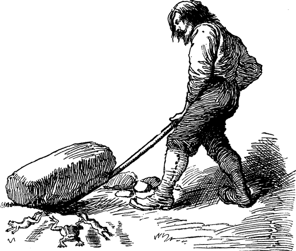 Discovering toad.
