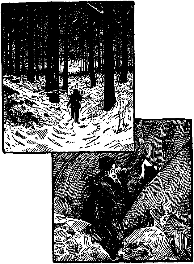 HOMEWARD. SAFELY INTRENCHED.