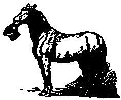 BUCEPHALUS TAKES THE HAT.