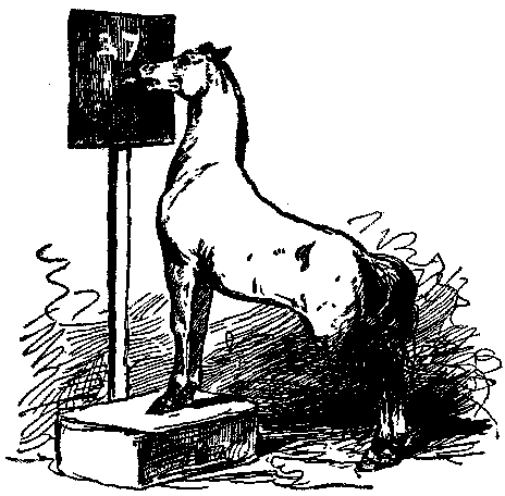 SPRITE AS A MATHEMATICIAN.