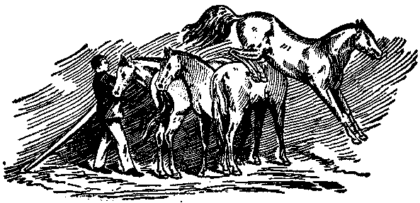 A GAME OF LEAP-FROG.