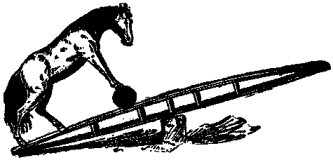 NELLIE ROLLS THE BARREL OVER THE 'TETER.'