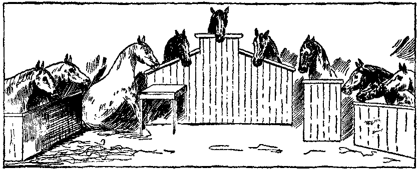 THE GREAT COURT SCENE.