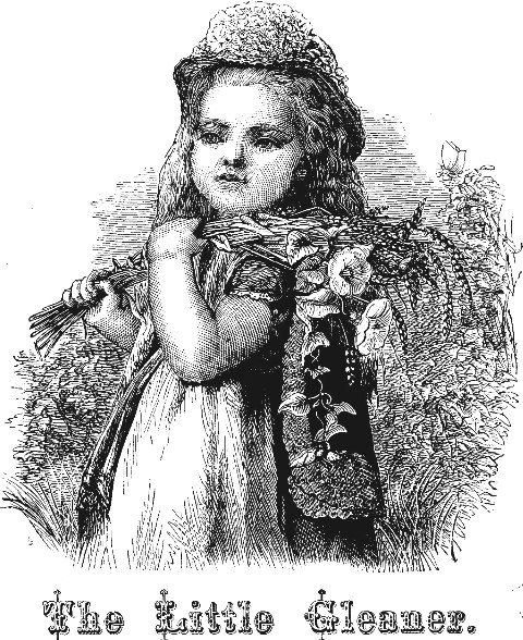 The Little Cleaner The Little Gleaner