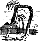D D