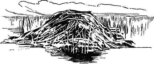 Winter House of Muskrat.