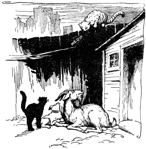 Looking up, they saw a big, striped cat sitting on the fence.