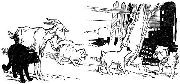 By this time the bulldog had come up to them and Tiger introduced them, telling the dog what distinguished friends he was meeting