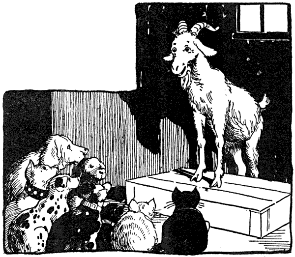 At last it was Billy's turn to go on the platform