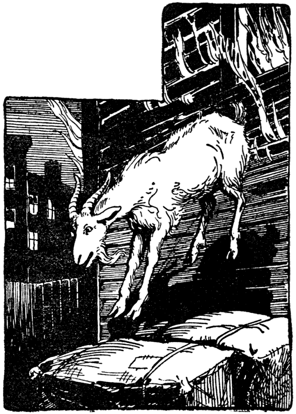 Billy leaped down on a high pile of baled stuff