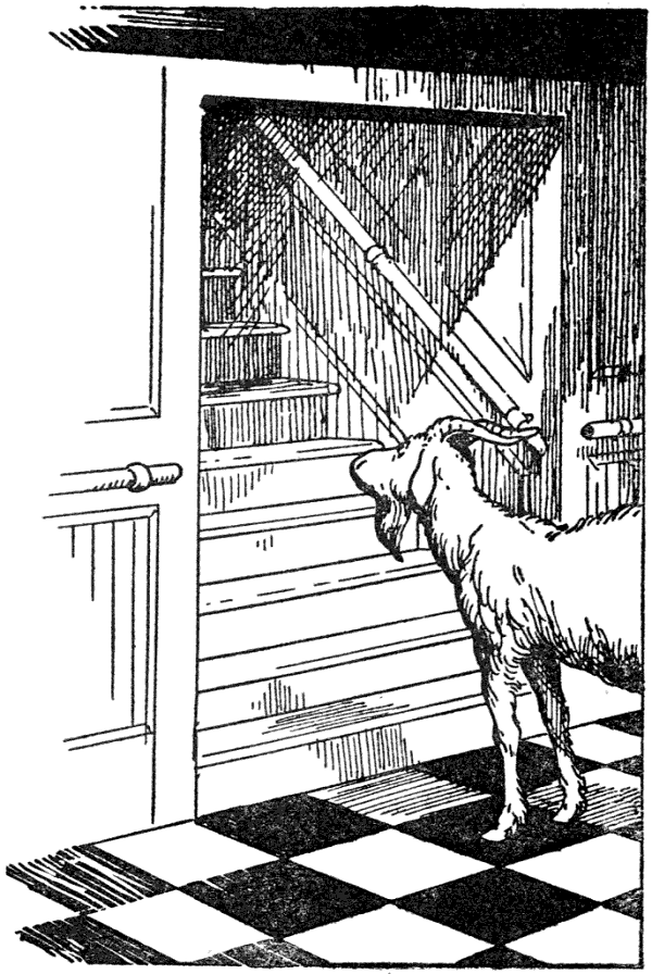 I know the kitchen must be behind those doors. I'll just stick my nose against one of them and peek in.