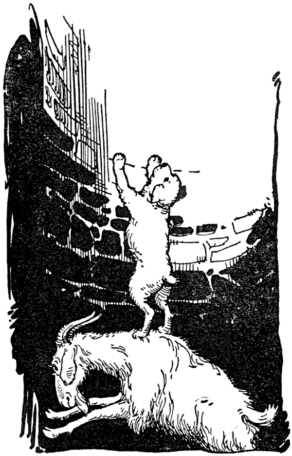 Billy putting his hind legs against one wall of the well and bracing his forehead against the opposite wall, Stubby managed to jump on his back