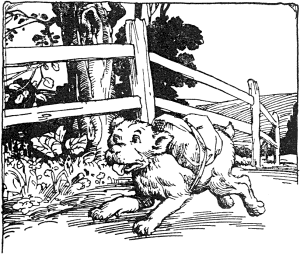 "Say, little dog, do you suppose you could carry a sandwich or two back if I tied them on your back instead of around you neck?..."