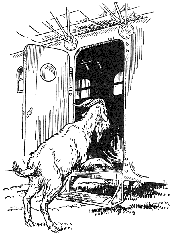 ...he walked boldly up to the balloon and poked his head in one of the doors and gazed in.