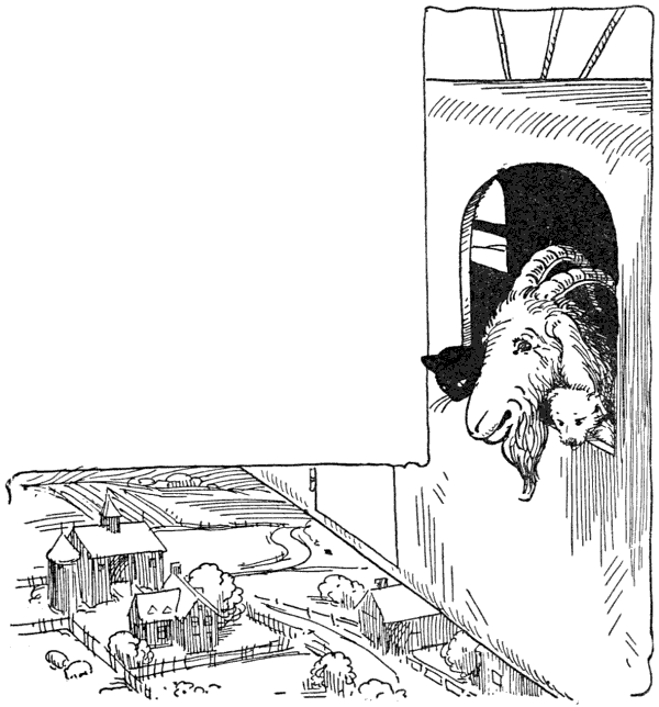 By this time they were so high in the air that the fields and forests looked like squares on a checkerboard