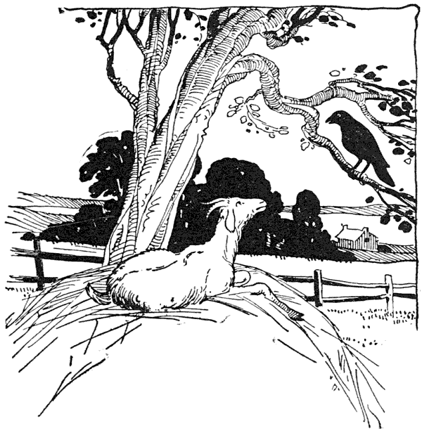 Lo and behold! directly in front of her on a dead limb of a tree sat a big, black crow.