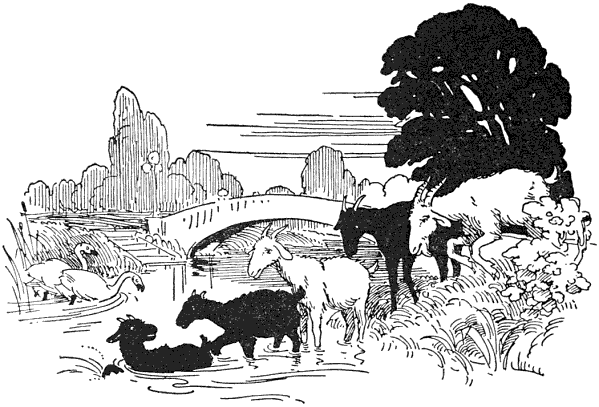 So the goats all trotted over to one of the lagoons in the Park which the Twins had called a lake, and they plunged into the water.
