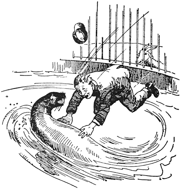 Indeed Billy Junior did butt the guard so hard he sent him flying over the high iron fence that surrounded the sea lions' pool and rock cave where they lived.