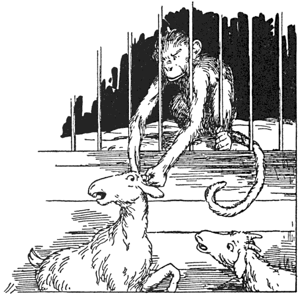 ...the monkey was trying to pull him through the bars by his short horns.