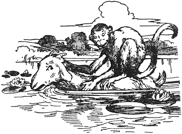 ...his brother running down the path like mad, trying to shake off a tiny monkey that was sitting on his back!