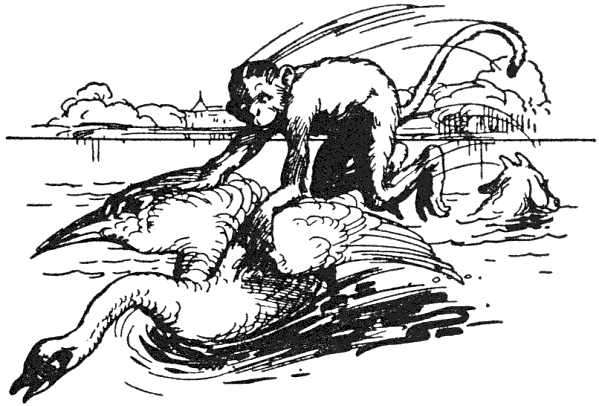 ...the monkey landed on his back.