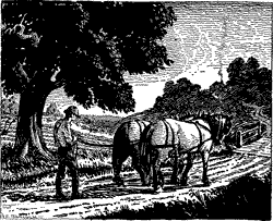 HOMEWARD PLODS HIS WEARY WAY A man walking down a road behind two harnessed horses.