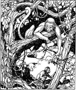 A CEBUS MONKEY A monkey draped over a branch in a tree.